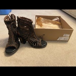 Bela- freebird by Steven